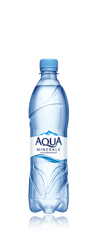 Вода Aqua Minerale (Аква Минерале) н/газ 0,6 пэт от компании Нортэна